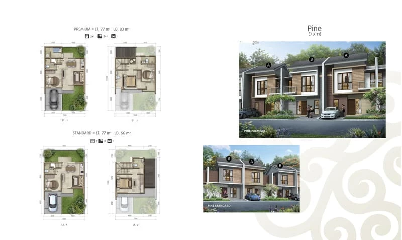 pine-cluster-olive